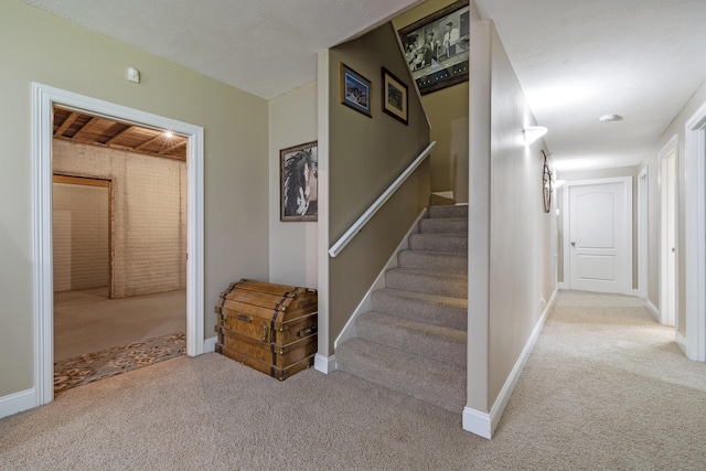 stairs featuring carpet flooring