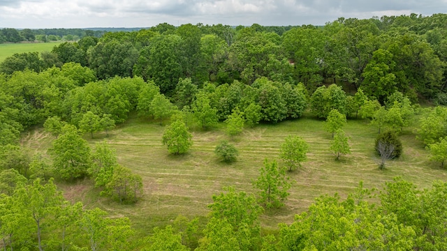 bird's eye view featuring a rural view