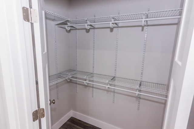 spacious closet with dark hardwood / wood-style floors