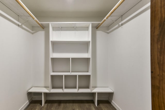 spacious closet featuring dark wood-type flooring