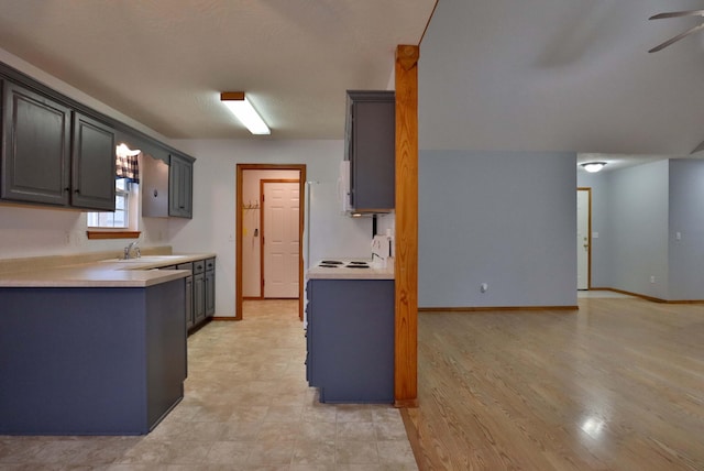 kitchen featuring gray cabinetry, ceiling fan, light wood-type flooring, and sink