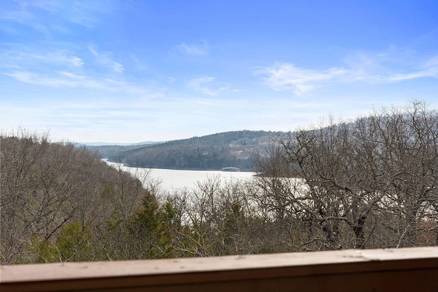 property view of mountains with a water view