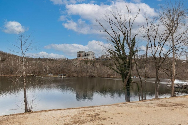 property view of water