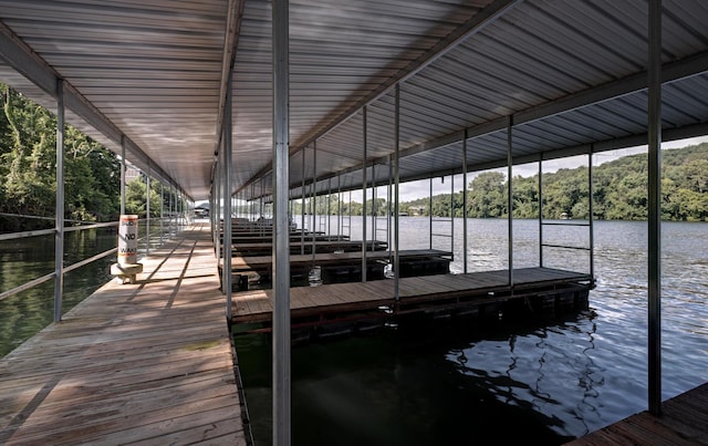 dock area with a water view