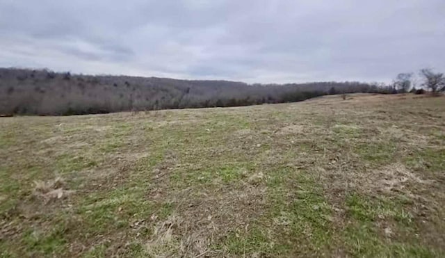 Listing photo 3 for Tbd Highway E, Hartville MO 65667