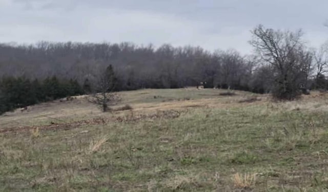 Listing photo 2 for Tbd Highway E, Hartville MO 65667