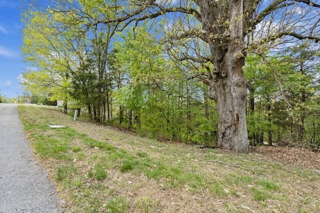 Listing photo 3 for LOT87 S Shining Mountain Dr, Cape Fair MO 65624