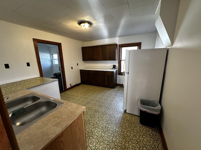 kitchen featuring dark brown cabinetry, sink, and white fridge