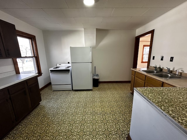 kitchen featuring dark brown cabinets, white appliances, sink, and a wealth of natural light