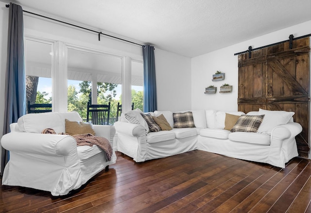 living room featuring dark hardwood / wood-style flooring and a barn door