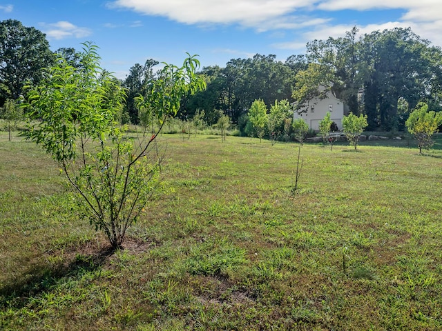 view of yard featuring a rural view