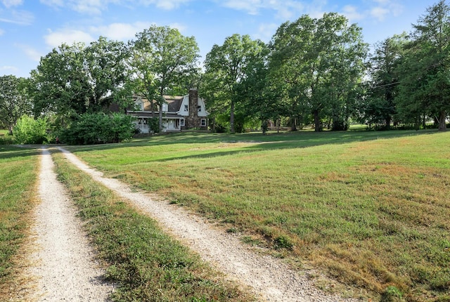 view of yard