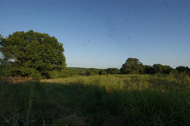 view of landscape with a rural view