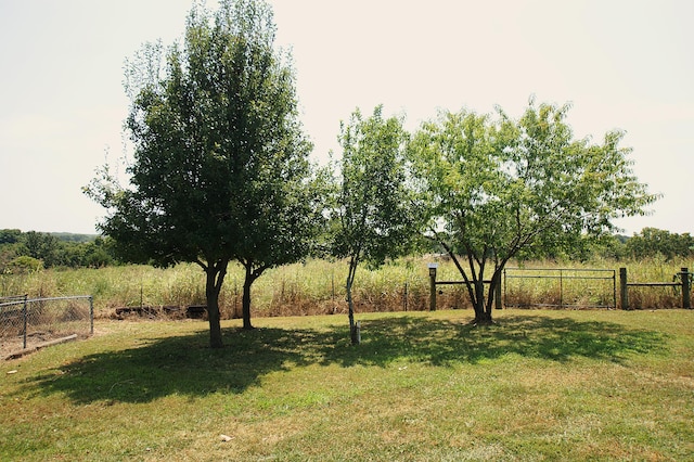 view of yard with a rural view