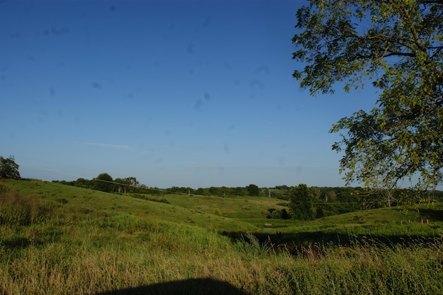 view of local wilderness featuring a rural view