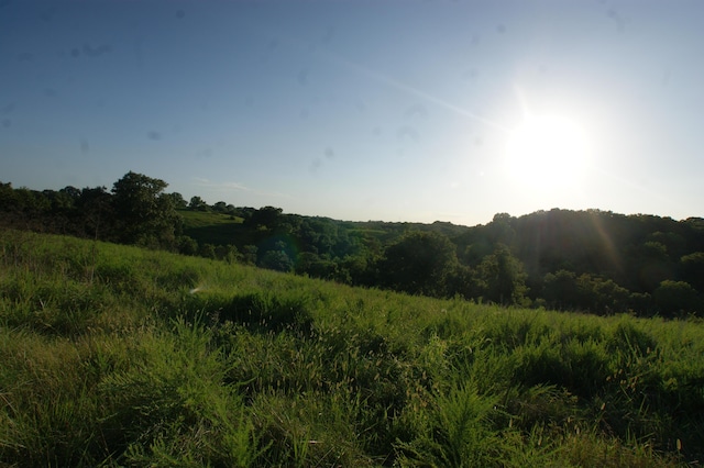 view of local wilderness featuring a rural view