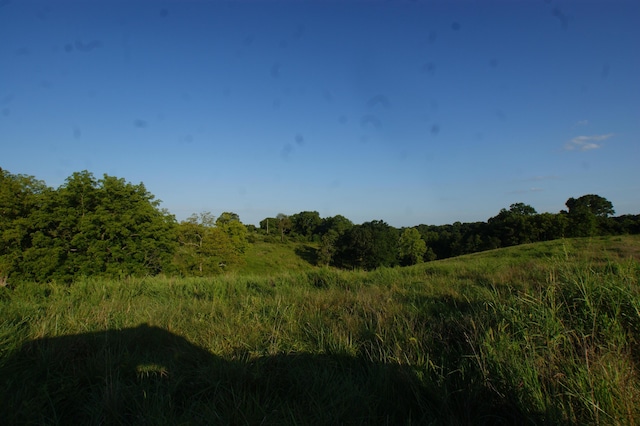 view of local wilderness featuring a rural view