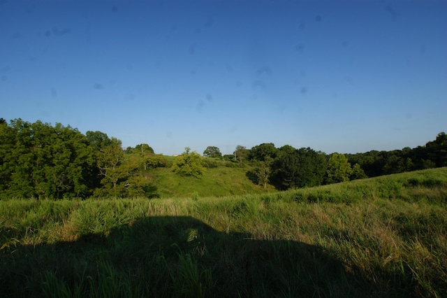 view of nature featuring a rural view