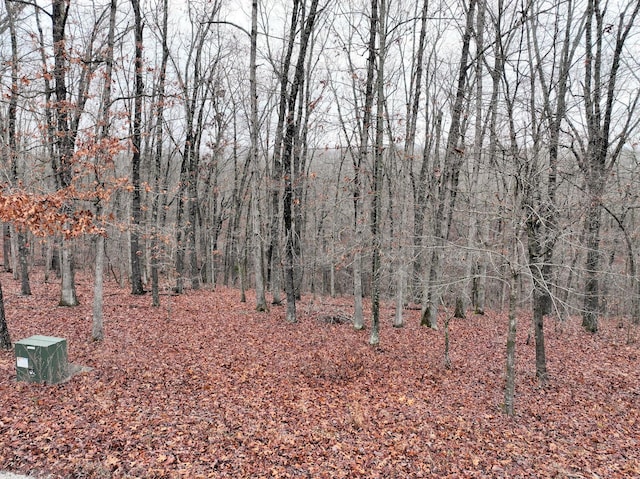 LOT8 Buckskin Rdg, Highlandville MO, 65669 land for sale