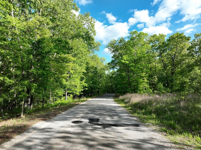 LOT8 Buckskin Rdg, Highlandville, MO 65669