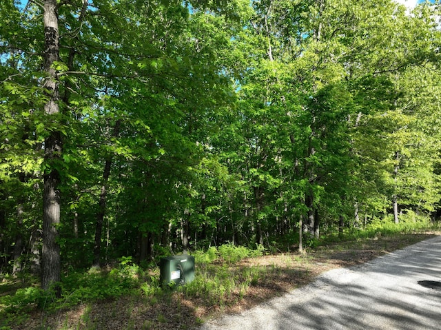 LOT8 Buckskin Rdg, Highlandville, MO 65669
