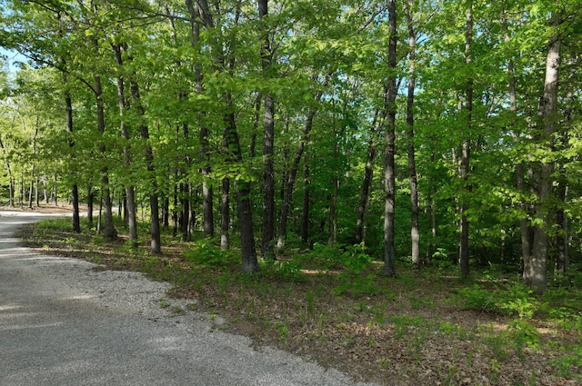 LOT8 Buckskin Rdg, Highlandville, MO 65669