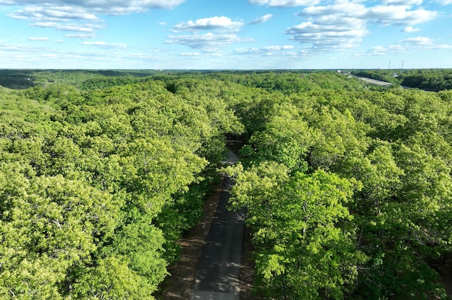 LOT8 Buckskin Rdg, Highlandville, MO 65669