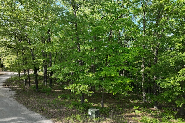 LOT8 Buckskin Rdg, Highlandville, MO 65669