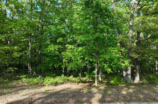 LOT8 Buckskin Rdg, Highlandville, MO 65669