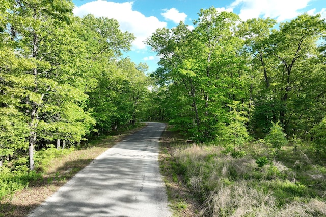 LOT8 Buckskin Rdg, Highlandville, MO 65669