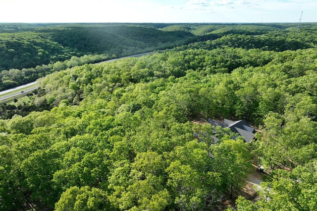 LOT8 Buckskin Rdg, Highlandville, MO 65669