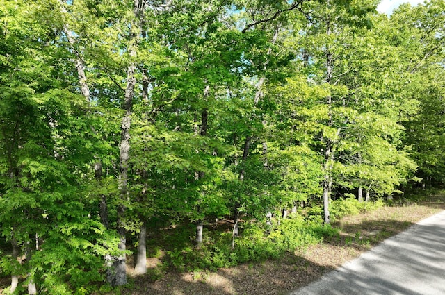 LOT8 Buckskin Rdg, Highlandville, MO 65669