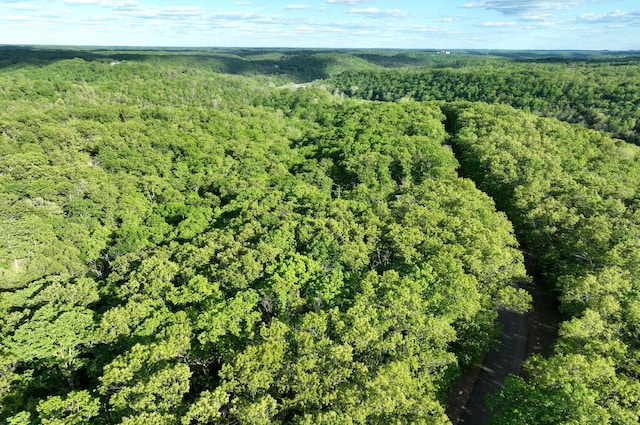 LOT8 Buckskin Rdg, Highlandville, MO 65669