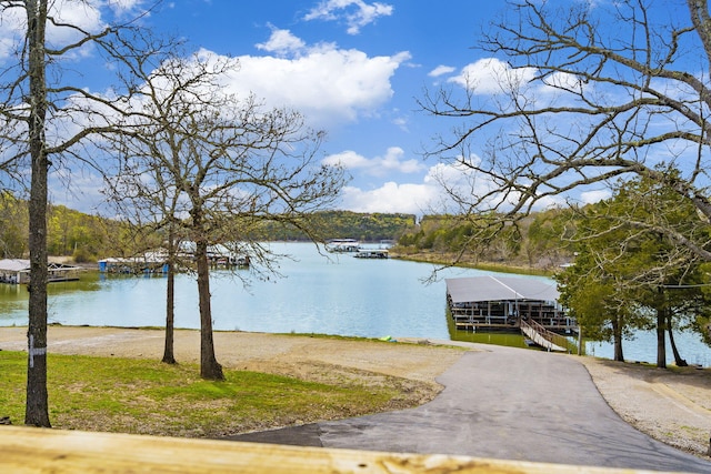 property view of water with a boat dock