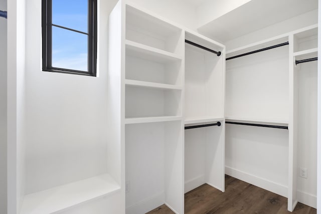 walk in closet with dark hardwood / wood-style flooring