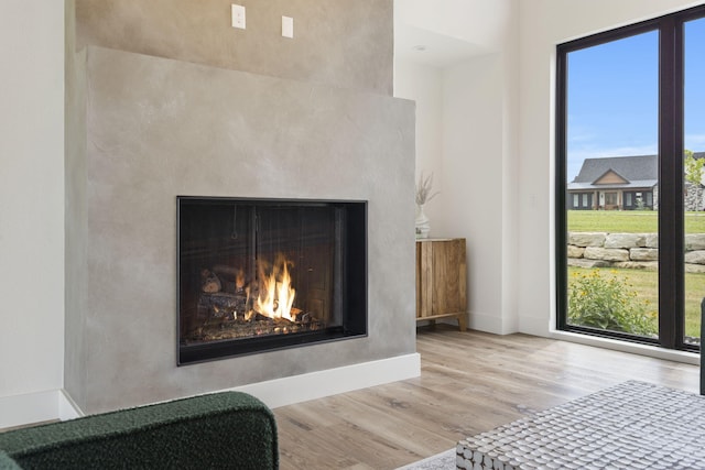 interior details featuring a fireplace and wood-type flooring