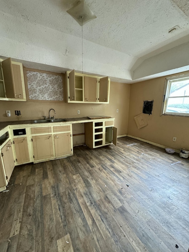 kitchen featuring a textured ceiling, lofted ceiling, sink, and dark wood-type flooring