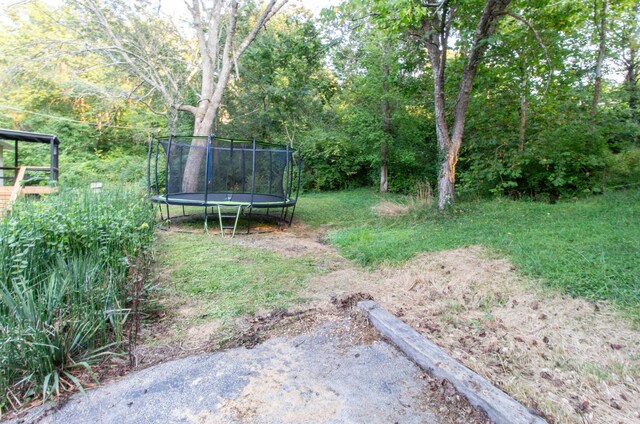 view of yard featuring a trampoline