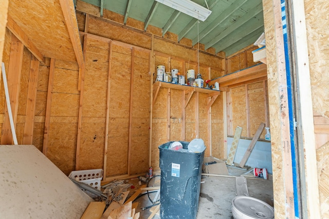 29 Adams Ln, Blue Eye, MO 65611 - view of storage room
