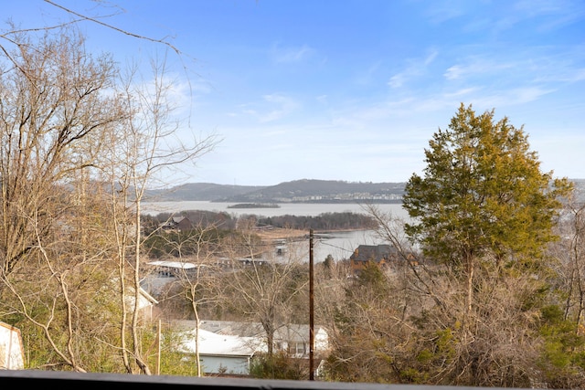 water view with a mountain view