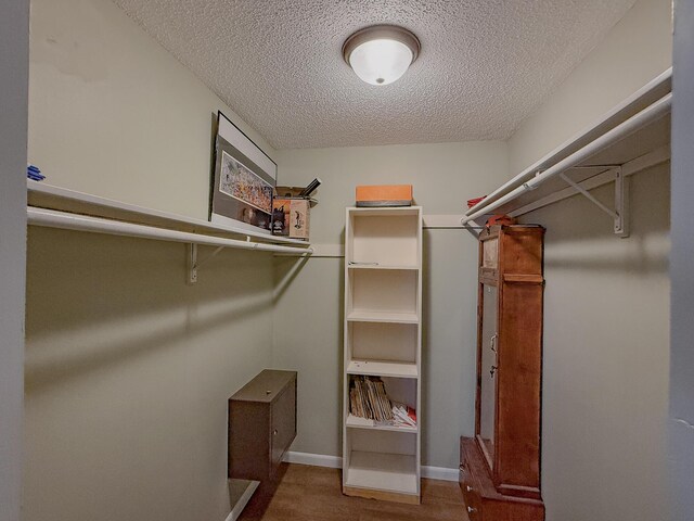walk in closet with wood-type flooring