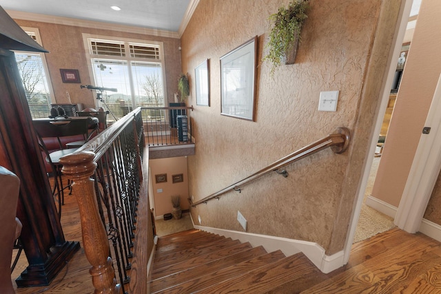 staircase featuring hardwood / wood-style flooring and crown molding