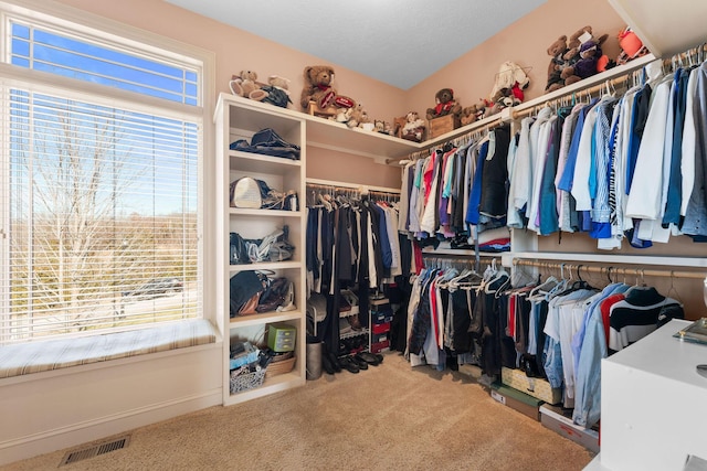 spacious closet with carpet