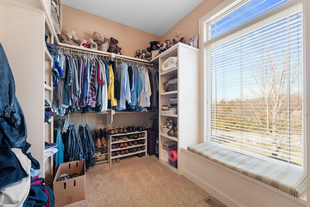 walk in closet with carpet flooring