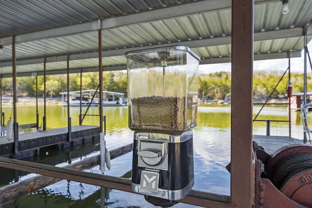 dock area with a water view