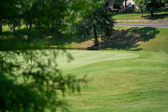 view of home's community with a lawn