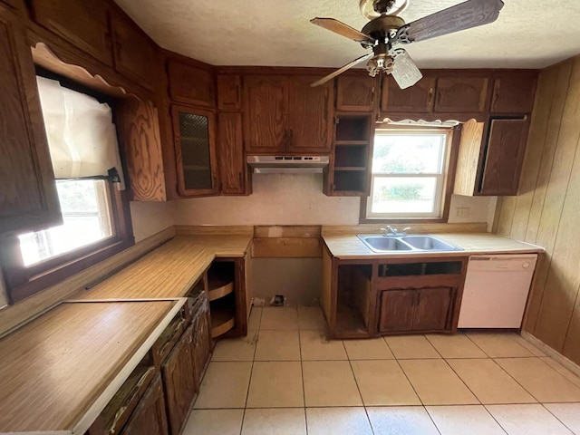 kitchen with dishwasher, ceiling fan, sink, and a wealth of natural light