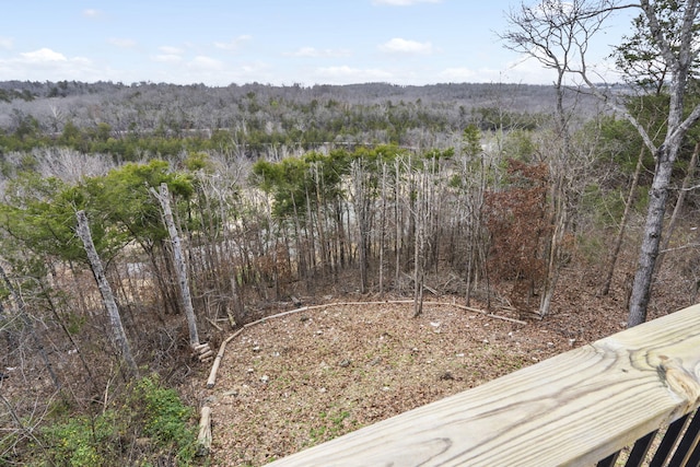 852 Silvercliff Way, Reeds Spring, MO 65737 - photo 34