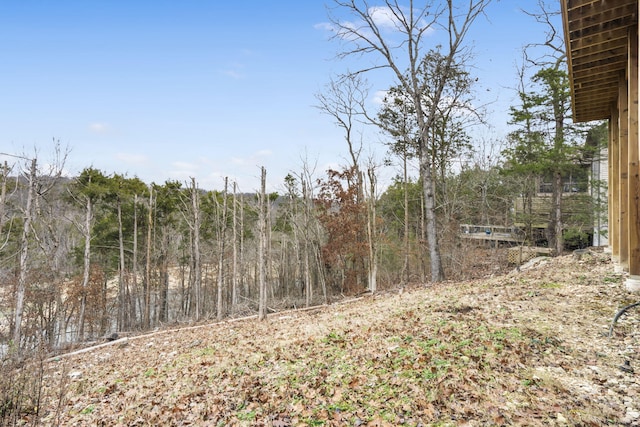 852 Silvercliff Way, Reeds Spring, MO 65737 - photo 53