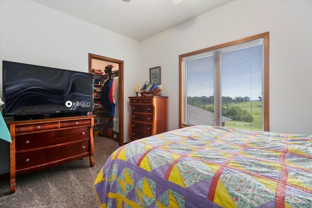 bedroom featuring carpet, a walk in closet, and a closet